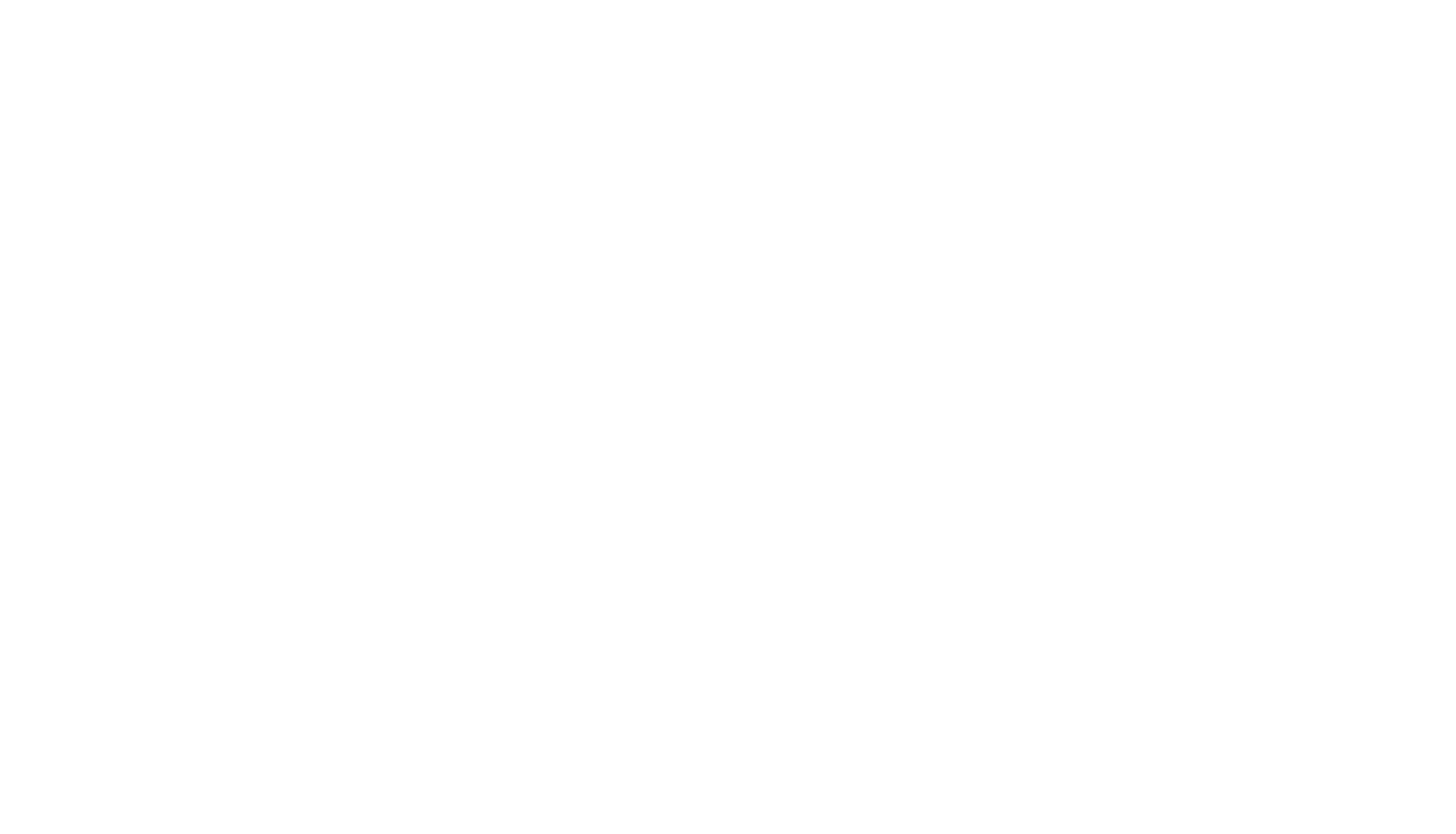 Flèche