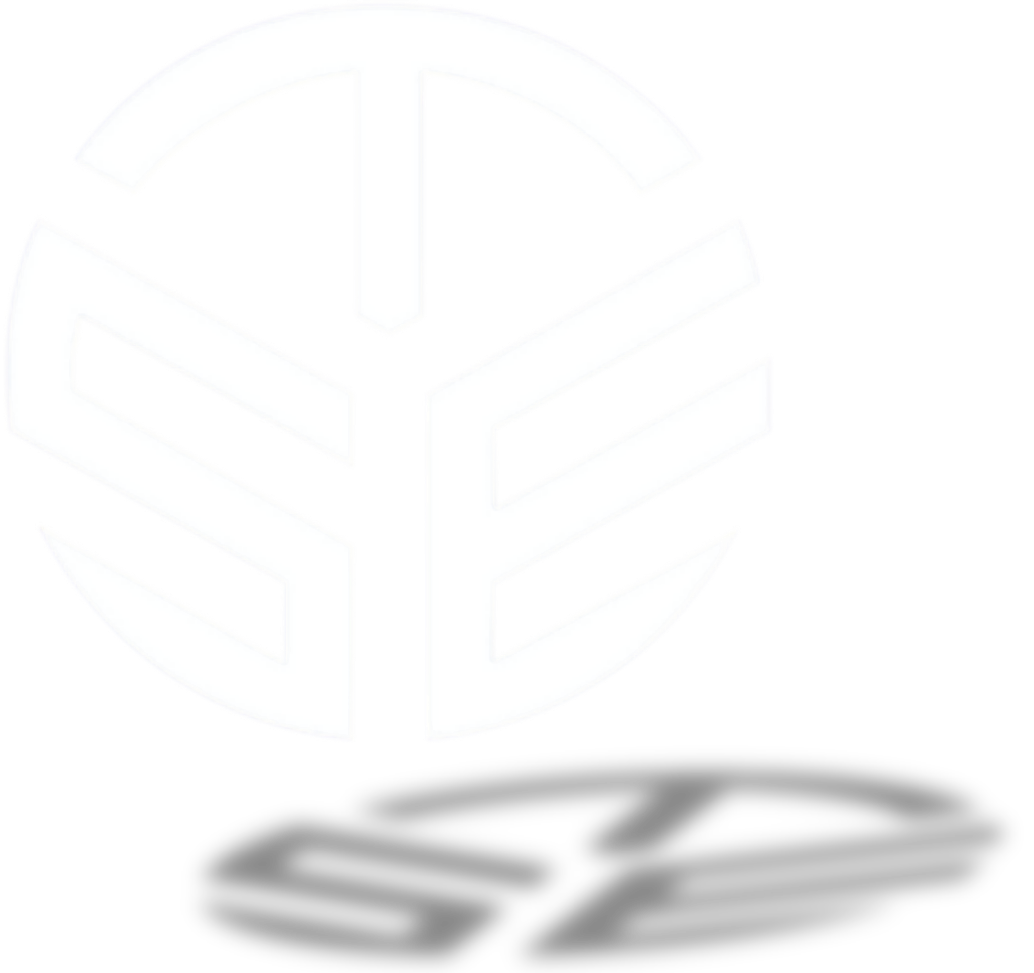 Logo TSE