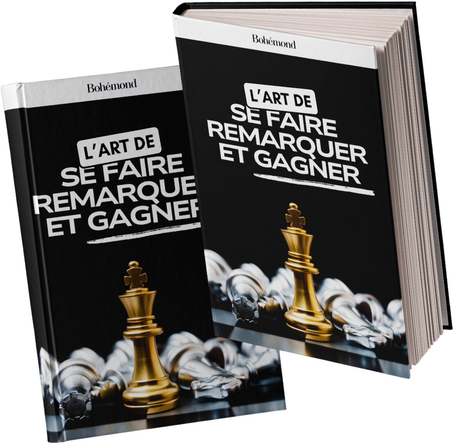 Guide